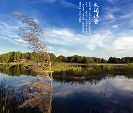 新義水鄉(xiāng)中醫(yī)藥浴康養(yǎng)、黃龍溪古鎮(zhèn)二日游