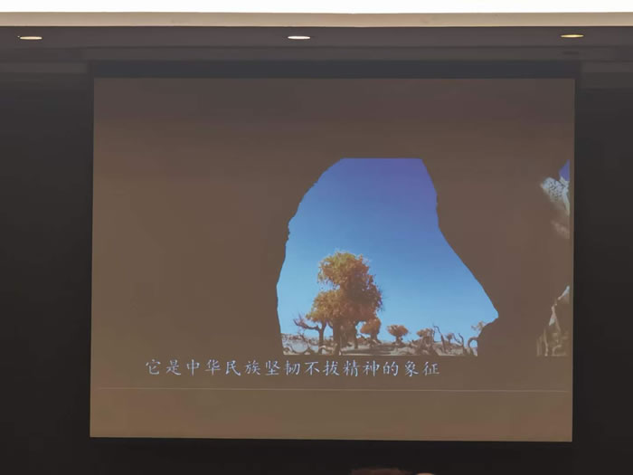 綿陽中旅行假日旅行社舉行胡楊林、南疆專列推薦會(huì)