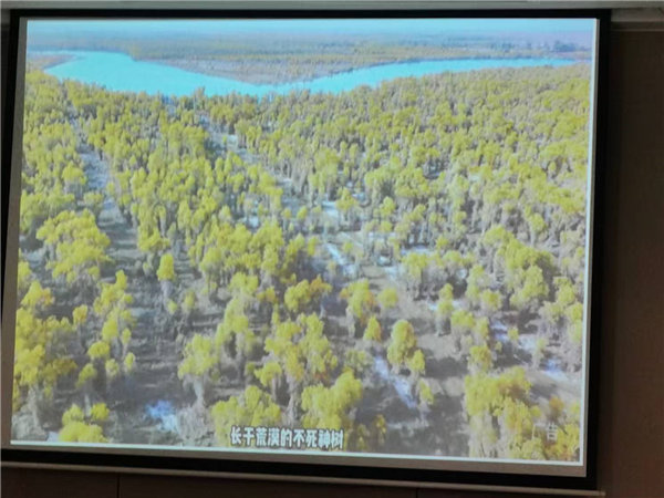 “金色胡楊 南疆盛景”秋攝漫旅行空調(diào)專列13日游